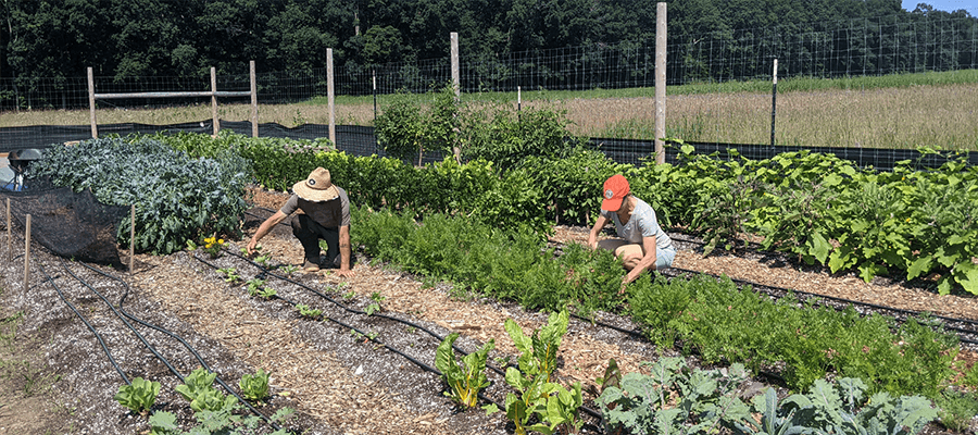 Happy Holidays from Farmtrue