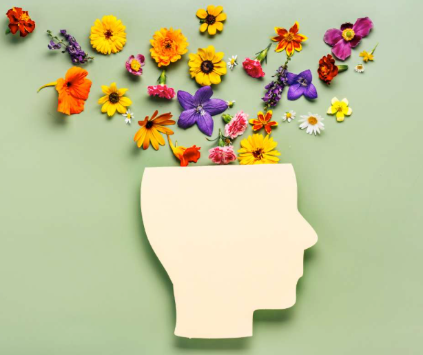 The Connection Between Ayurvedic Wellness and Mental Health