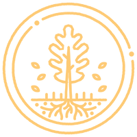 AYURVEDIC RECIPES FOR WINTER